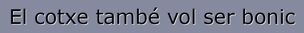 El cotxe també vol ser bonic
