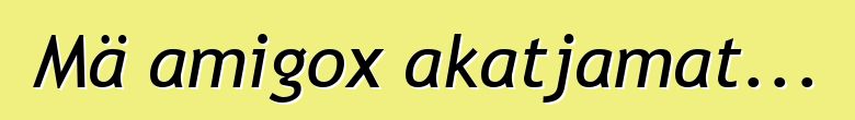 Mä amigox akatjamat...