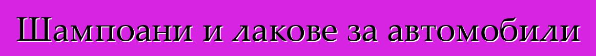 Шампоани и лакове за автомобили