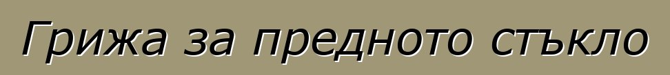 Грижа за предното стъкло