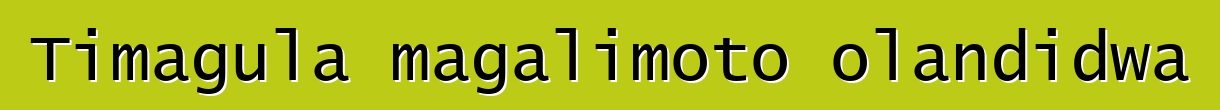 Timagula magalimoto olandidwa