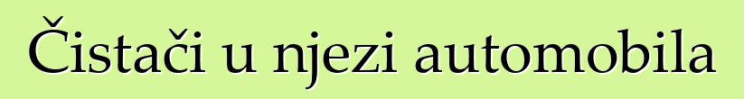 Čistači u njezi automobila