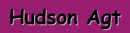 Hudson Agt