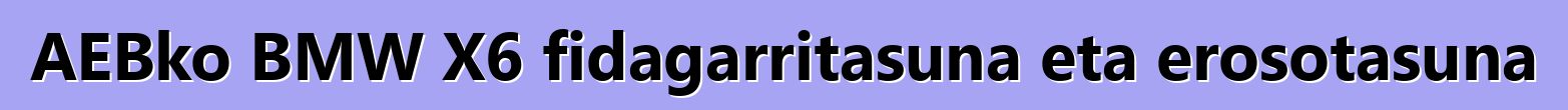 AEBko BMW X6 fidagarritasuna eta erosotasuna