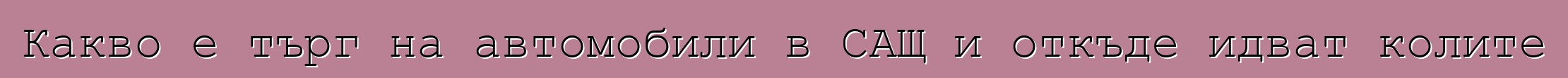 Какво е търг на автомобили в САЩ и откъде идват колите