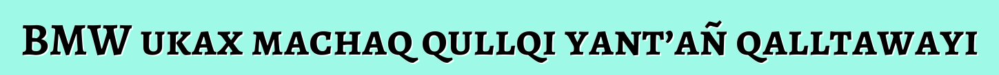 BMW ukax machaq qullqi yant’añ qalltawayi