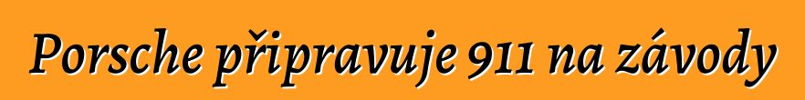 Porsche připravuje 911 na závody