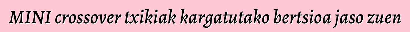 MINI crossover txikiak kargatutako bertsioa jaso zuen