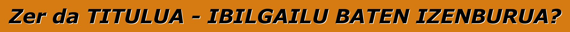 Zer da TITULUA - IBILGAILU BATEN IZENBURUA?
