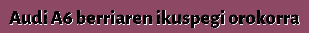 Audi A6 berriaren ikuspegi orokorra