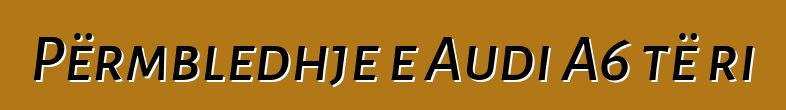 Përmbledhje e Audi A6 të ri