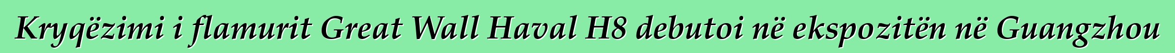 Kryqëzimi i flamurit Great Wall Haval H8 debutoi në ekspozitën në Guangzhou