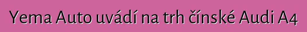 Yema Auto uvádí na trh čínské Audi A4