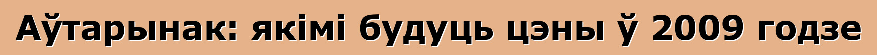 Аўтарынак: якімі будуць цэны ў 2009 годзе