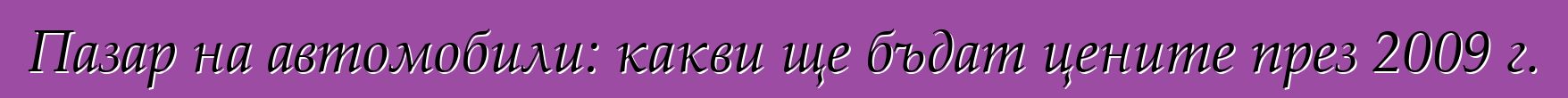 Пазар на автомобили: какви ще бъдат цените през 2009 г.