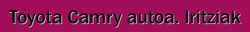 Toyota Camry autoa. Iritziak