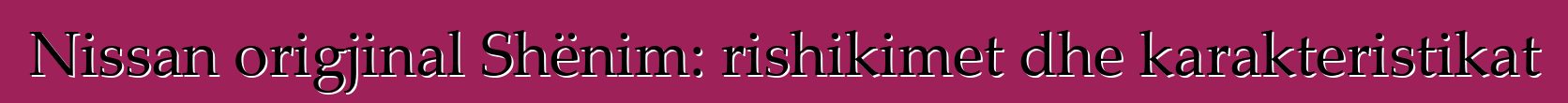 Nissan origjinal Shënim: rishikimet dhe karakteristikat