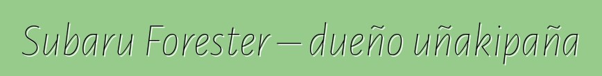 Subaru Forester – dueño uñakipaña