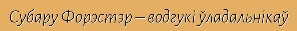 Субару Форэстэр – водгукі ўладальнікаў