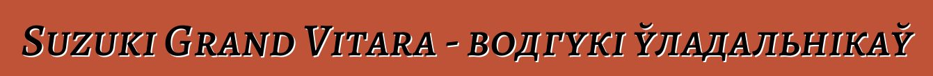 Suzuki Grand Vitara - водгукі ўладальнікаў