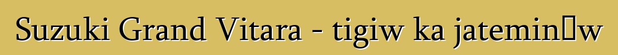 Suzuki Grand Vitara - tigiw ka jateminɛw