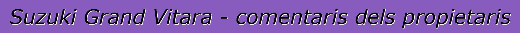 Suzuki Grand Vitara - comentaris dels propietaris