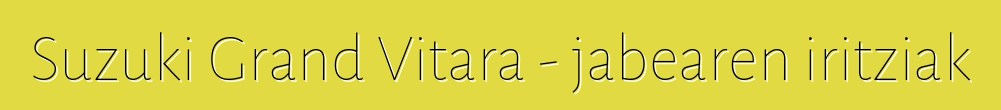 Suzuki Grand Vitara - jabearen iritziak