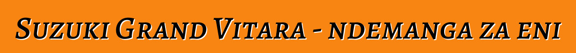 Suzuki Grand Vitara - ndemanga za eni