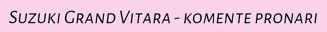 Suzuki Grand Vitara - komente pronari
