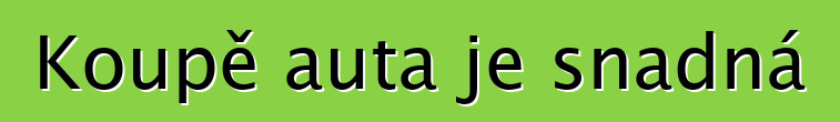 Koupě auta je snadná