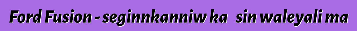Ford Fusion - seginnkanniw ka ɲɛsin waleyali ma