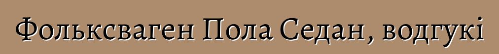 Фольксваген Пола Седан, водгукі