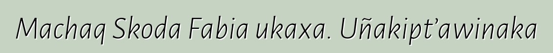 Machaq Skoda Fabia ukaxa. Uñakipt’awinaka
