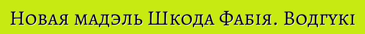 Новая мадэль Шкода Фабія. Водгукі