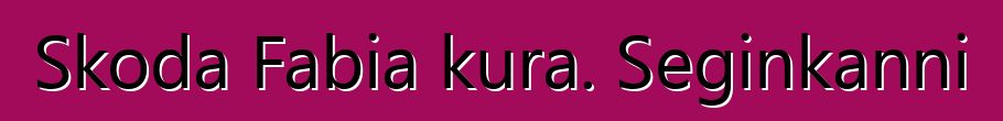 Skoda Fabia kura. Seginkanni