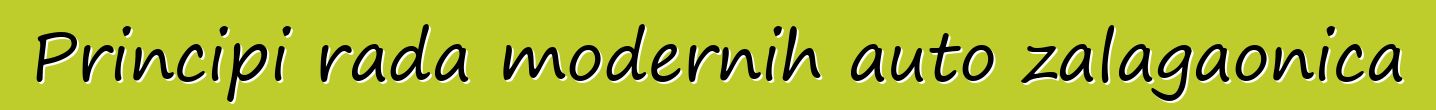 Principi rada modernih auto zalagaonica
