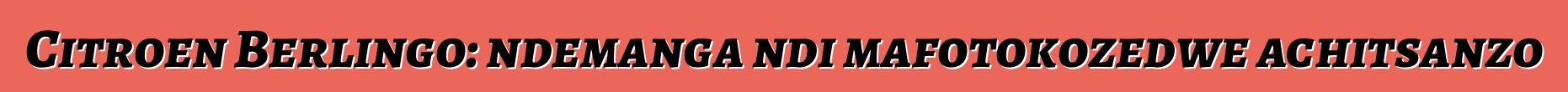 Citroen Berlingo: ndemanga ndi mafotokozedwe achitsanzo