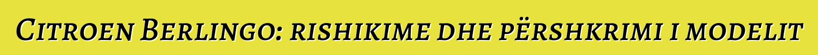 Citroen Berlingo: rishikime dhe përshkrimi i modelit
