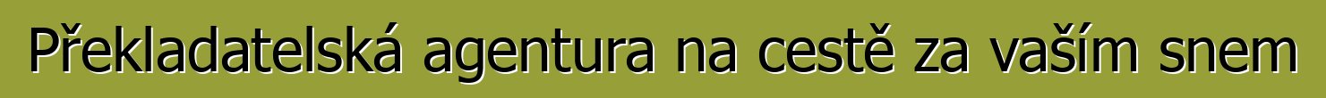 Překladatelská agentura na cestě za vaším snem