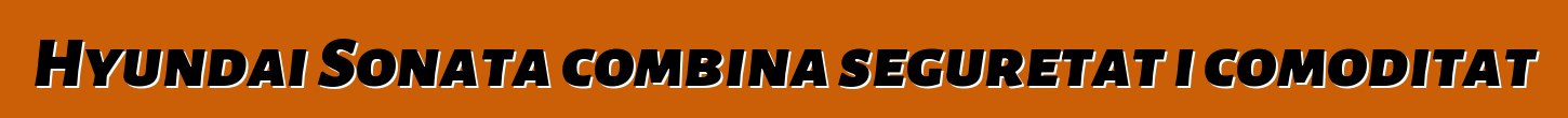 Hyundai Sonata combina seguretat i comoditat