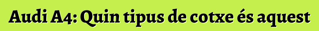 Audi A4: Quin tipus de cotxe és aquest