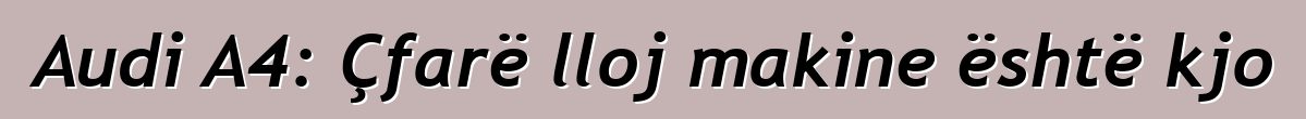 Audi A4: Çfarë lloj makine është kjo