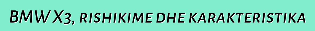 BMW X3, rishikime dhe karakteristika