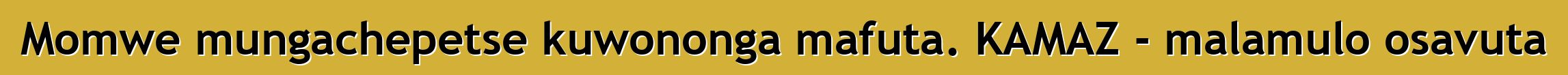 Momwe mungachepetse kuwononga mafuta. KAMAZ - malamulo osavuta
