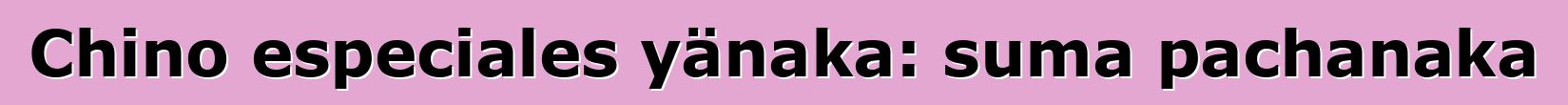 Chino especiales yänaka: suma pachanaka