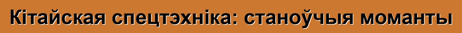 Кітайская спецтэхніка: станоўчыя моманты