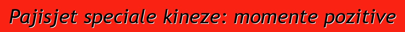 Pajisjet speciale kineze: momente pozitive