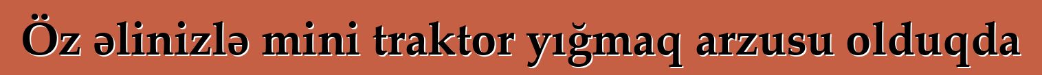 Öz əlinizlə mini traktor yığmaq arzusu olduqda