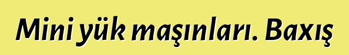 Mini yük maşınları. Baxış