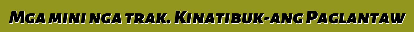 Mga mini nga trak. Kinatibuk-ang Paglantaw